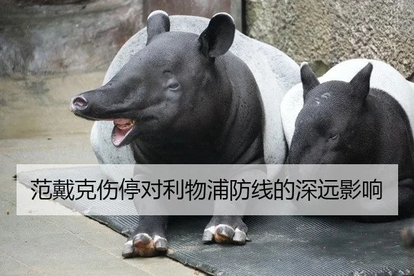 范戴克伤停对利物浦防线的深远影响